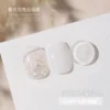 Gaoy Aurora Shell Mica Gel Nail Polish