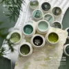 my-11134207-7ras9-mbxjgc8qnm3a2b Gaoy Green Series Gel Nail Polish 2.5G